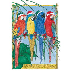 Birds - Macaws