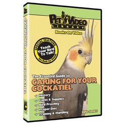 Caring for Your Cockatiel