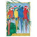 Birds - Macaws<br>Item number: C871: Birds