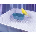 Bird Baths: Birds