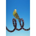 ROPE PERCHES: Birds Stands/Perches 