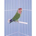 Universal Clip-On Perches: Birds Stands/Perches 