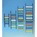 Cement Ladders - Acrylic Frame: Birds Ladders 