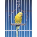 Cement Swings - Wire Frame: Birds Swings 