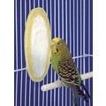 Cuttlebone / Mineral Treat: Birds