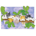 Cats-Out on a Limb Birthday Cards<br>Item number: B410: Cats Holiday Merchandise 