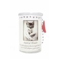 28oz Soy Blend Jar Candle - Cinnamon Vanilla: Cats Gift Products 