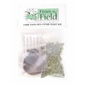 Grow Your Own Catnip Plant Kit - 6/Case<br>Item number: FFC314: Cats Products for Humans 