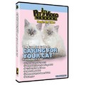 Caring for Your Cat<br>Item number: 71583: Cats Training Products DVDs 