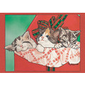 Cats-Surprise Awakening<br>Item number: C429: Cats Holiday Merchandise Holiday Greeting Cards 