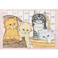 Cats-Kitties in a Basket Birthday Cards<br>Item number: B485: Cats Holiday Merchandise Birthday Items 