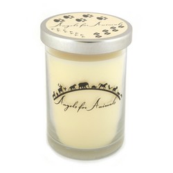 12oz Soy Blend Jar Candle - French Vanilla
