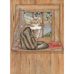 Cats-Maine Coon Note Cards