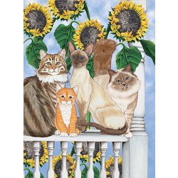 Cats-Sunflower Kitties Birthday Cards