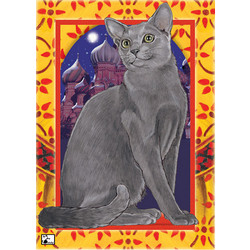 Cats-Russian Blue Birthday Cards