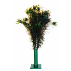 Natural Peacock Feathers - Sold by the case only