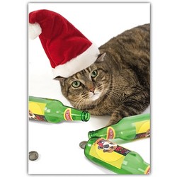 Christmas Card - Cat w/ Beer & Santa Hat