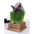 Kitty's Garden<br>Item number: 3844: Cats Treats 