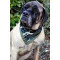 Hound Up The Troops: Dogs Accessories Bandanas 