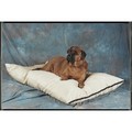 30"x36" Natural Fiber-Fabric/Fabric: Dogs Beds and Crates Fabric Beds and Blankets 