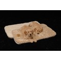 SnooZZy Sleep Tight - Cozy/Fleece: Dogs Beds and Crates Fabric Beds and Blankets 