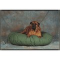 54"rd Natural Fiber-Fabric/Fabric: Dogs Beds and Crates Cushions 