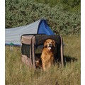 Bone Voyage Pup Tent: Dogs Beds and Crates Outdoor Beds/Enclosures 