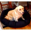 Donut Bagel Pet Bed: Dogs Beds and Crates Fabric Beds and Blankets 