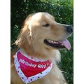 Birthday Girl Celebration: Dogs Pet Apparel Bandanas 