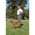Bottom's Up Leash: Dogs Collars and Leads Harnesses 