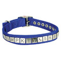 Dog Identicollar: Dogs Collars and Leads Personalized 