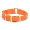 Center Ring Collar: Dogs Collars and Leads Nylon, Hemp & Polly 