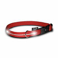 Visiglo Flashing Collars: Dogs Collars and Leads Lighted 