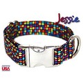 Jessie Collar/Lead: Dogs Collars and Leads Designer 