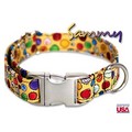 Sammy Collar/Lead: Dogs Collars and Leads Fabric 