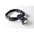 Black PupLight<br>Item number: 484498: Dogs Collars and Leads Lighted 