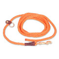 EZ Trainer/Leash - Large 1/2": Dogs Collars and Leads Nylon, Hemp & Polly 