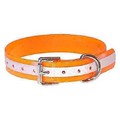 Dura-Flect Saftey Collar: Dogs Collars and Leads Reflective 