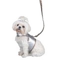 Harness Vest/Leash Set - Metallic Snakeskin Sold Out: Dogs Collars and Leads Designer 