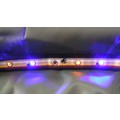 BEAR FLAG LIGHTED LED DOG COLLAR: Dogs Collars and Leads Fabric 