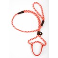 Dog Walker - Small - 3/8" Diameter - Fashion colors: Dogs Collars and Leads Nylon, Hemp & Polly 