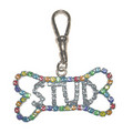 "STUD" RAINBOW BONE CRYSTAL DANGLE CHARM<br>Item number: JR-002: Dogs Accessories Collar Charms 