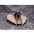 Memory Therm-Fleece/Fabric: Dogs Beds and Crates Specialty Beds 