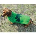 Shamrock Sweater: Dogs Pet Apparel Sweaters 