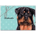 Boxed Note Cards - 3.5" x 5" (Breeds R-Y): Dogs Gift Products 