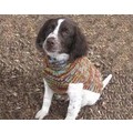 Vintage Multi Cable Knit Sweater: Dogs Pet Apparel 