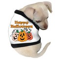 3 Pumpkins Jack O Lanterns Halloween Dog T-shirt: Dogs Pet Apparel 