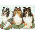 Shetland Sheepdogs<br>Item number: C524: Dogs Gift Products 