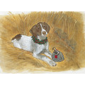 Pointer<br>Item number: C889: Dogs Holiday Merchandise 