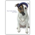 Birthday Card - Jack Home Dawg<br>Item number: DS2-01BIRTH: Dogs Gift Products 